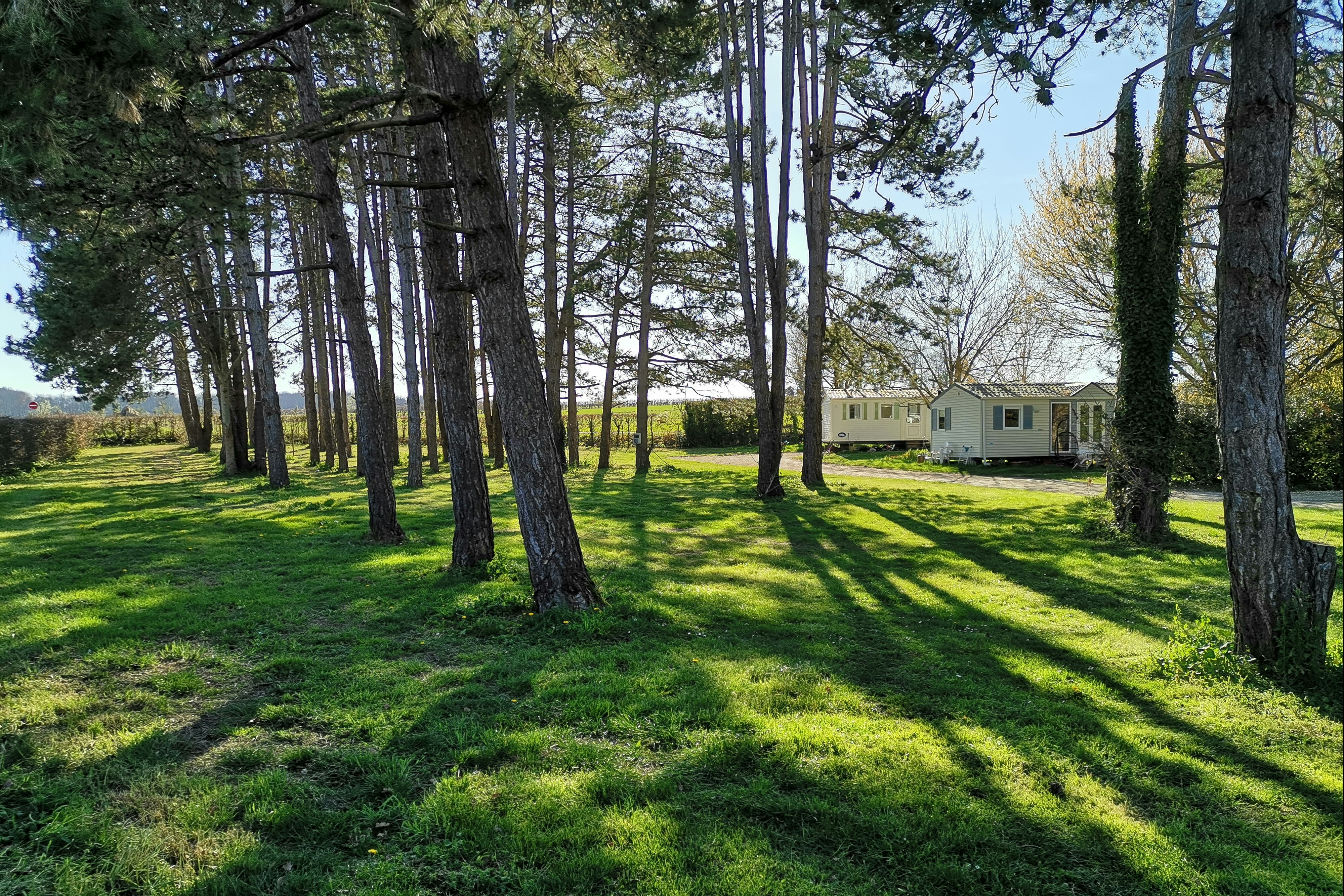 Camping Du Pas Des Biches