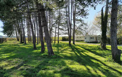 Camping Du Pas Des Biches