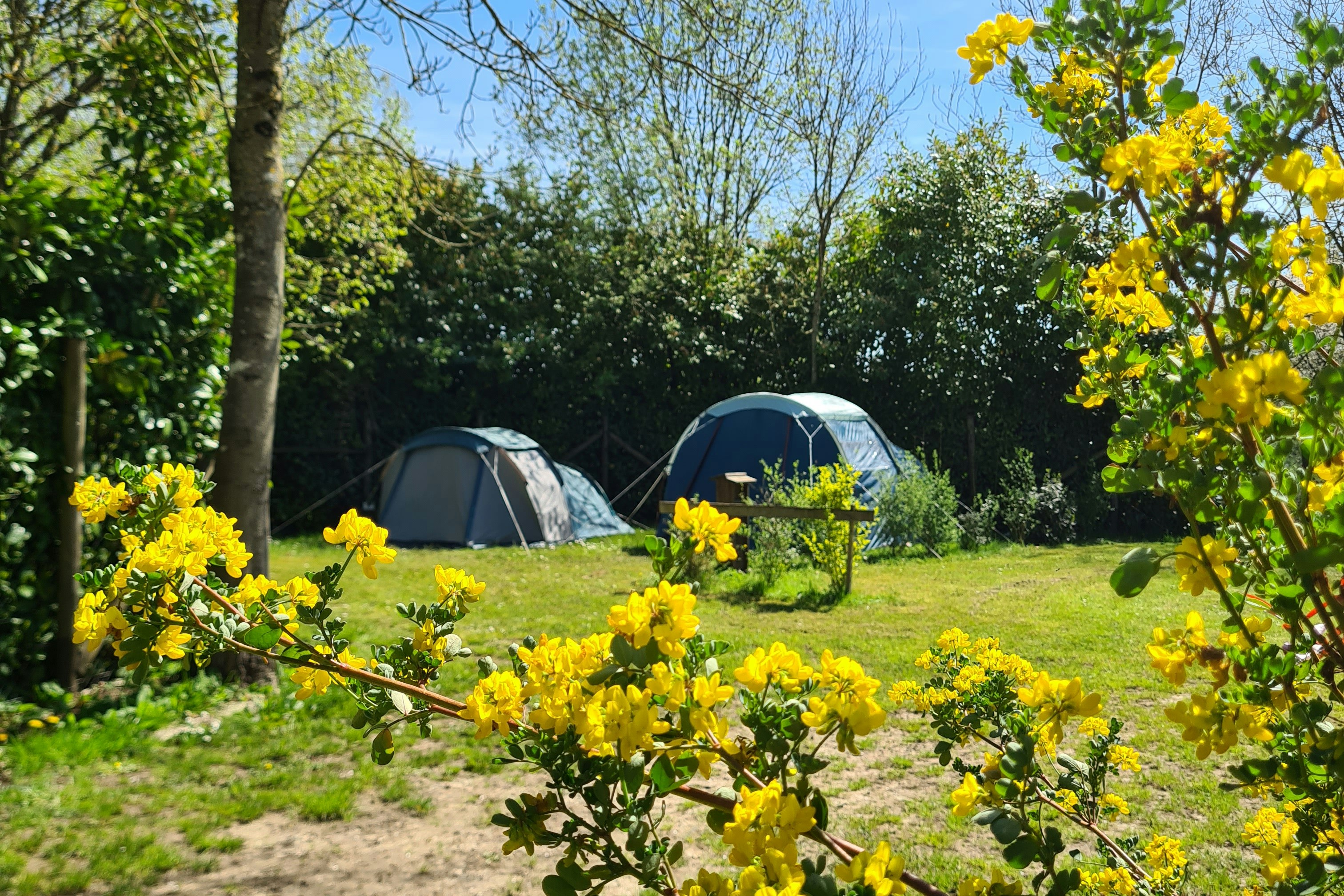 Camping Du Perche  - Zeltplätze auf dem Campingplatz