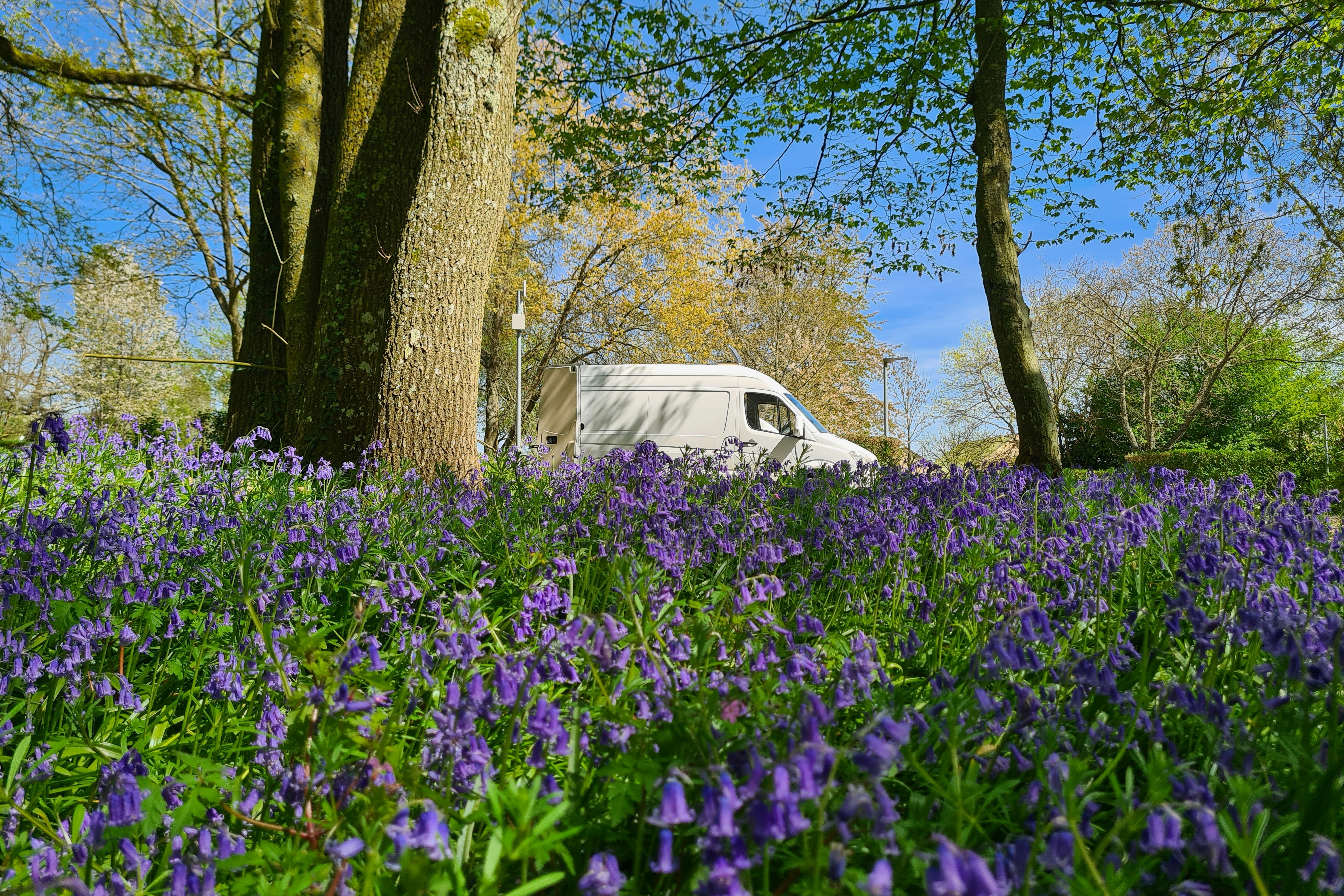 Camping Du Perche - Standplätze auf dem Campingplatz