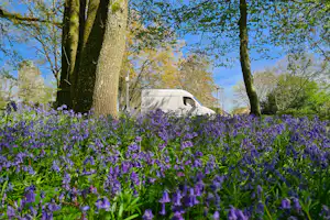 Camping Du Perche - Standplätze auf dem Campingplatz