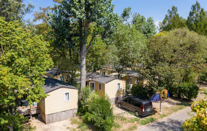 Camping du Pont d'Avignon