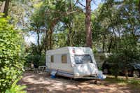 Camping du Pont d'Avignon - Wohnmobil- und  Wohnwagenstellplätze