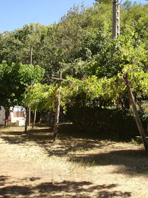 Camping du Pont de Mercier