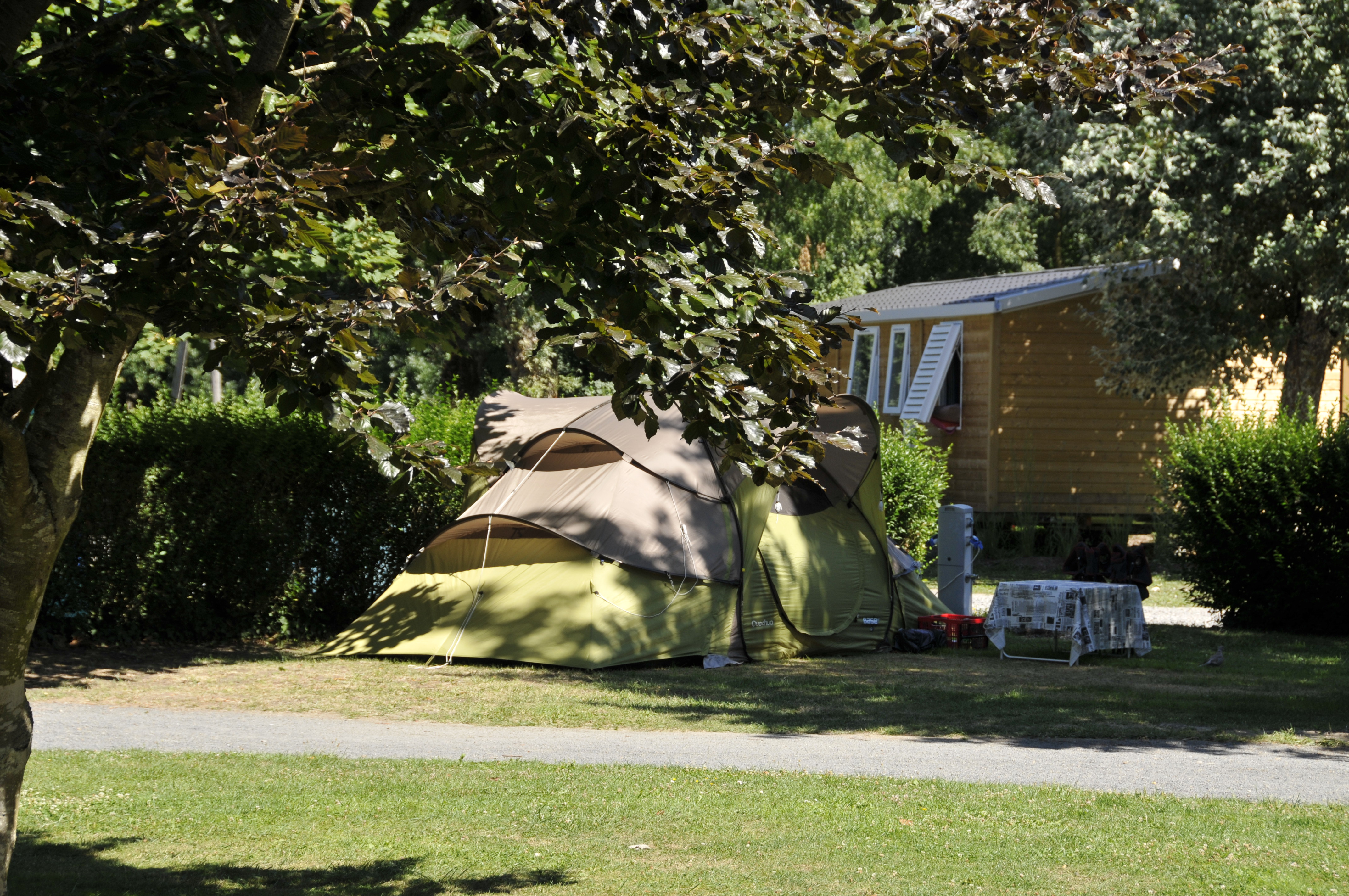 Flower Camping Du Port Caroline