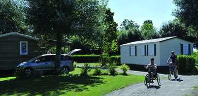 Flower Camping Du Port Caroline