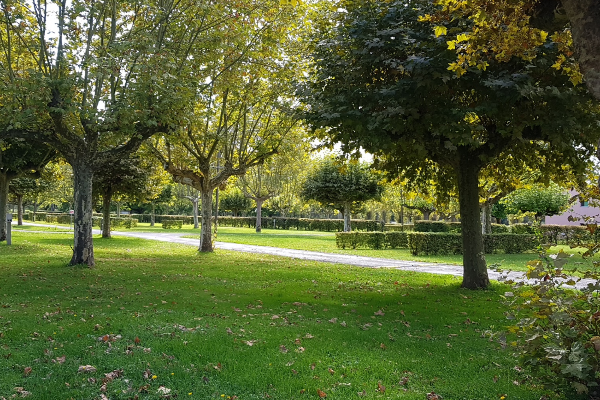 Camping La Clé de Saône - Standplatzwiese auf dem Campingplatz
