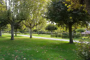 Camping La Clé de Saône - Standplatzwiese auf dem Campingplatz
