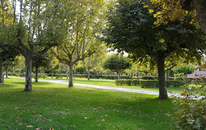 Camping La Clé de Saône