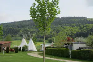 Zwei weiße Zelte auf einem Campingplatz, im Vordergrund ein Baum, dahinter grüne Hügel und Wiesen.