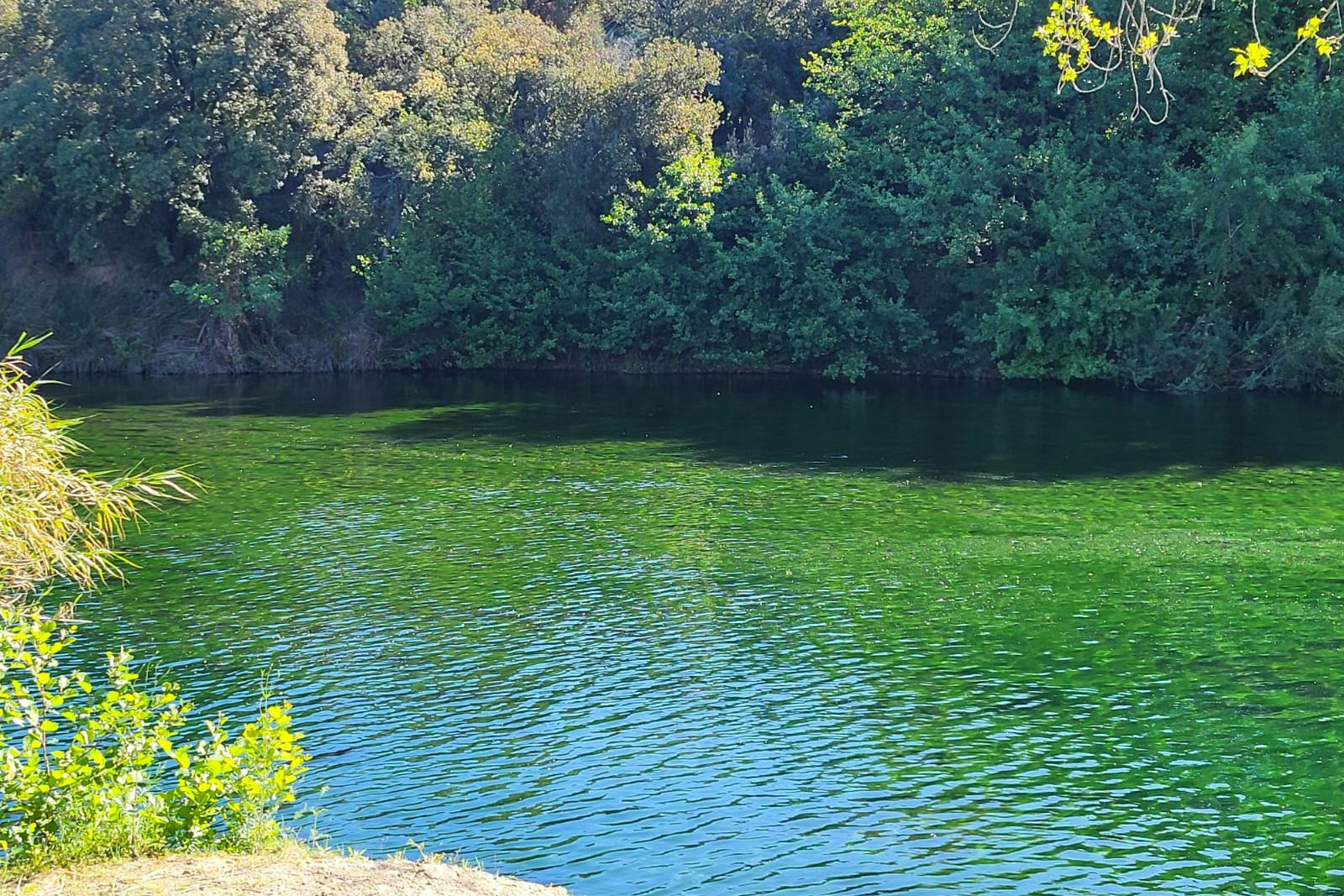 Camping du val de cesse - Blick auf den Fluss in der Nähe des Campingplatzes