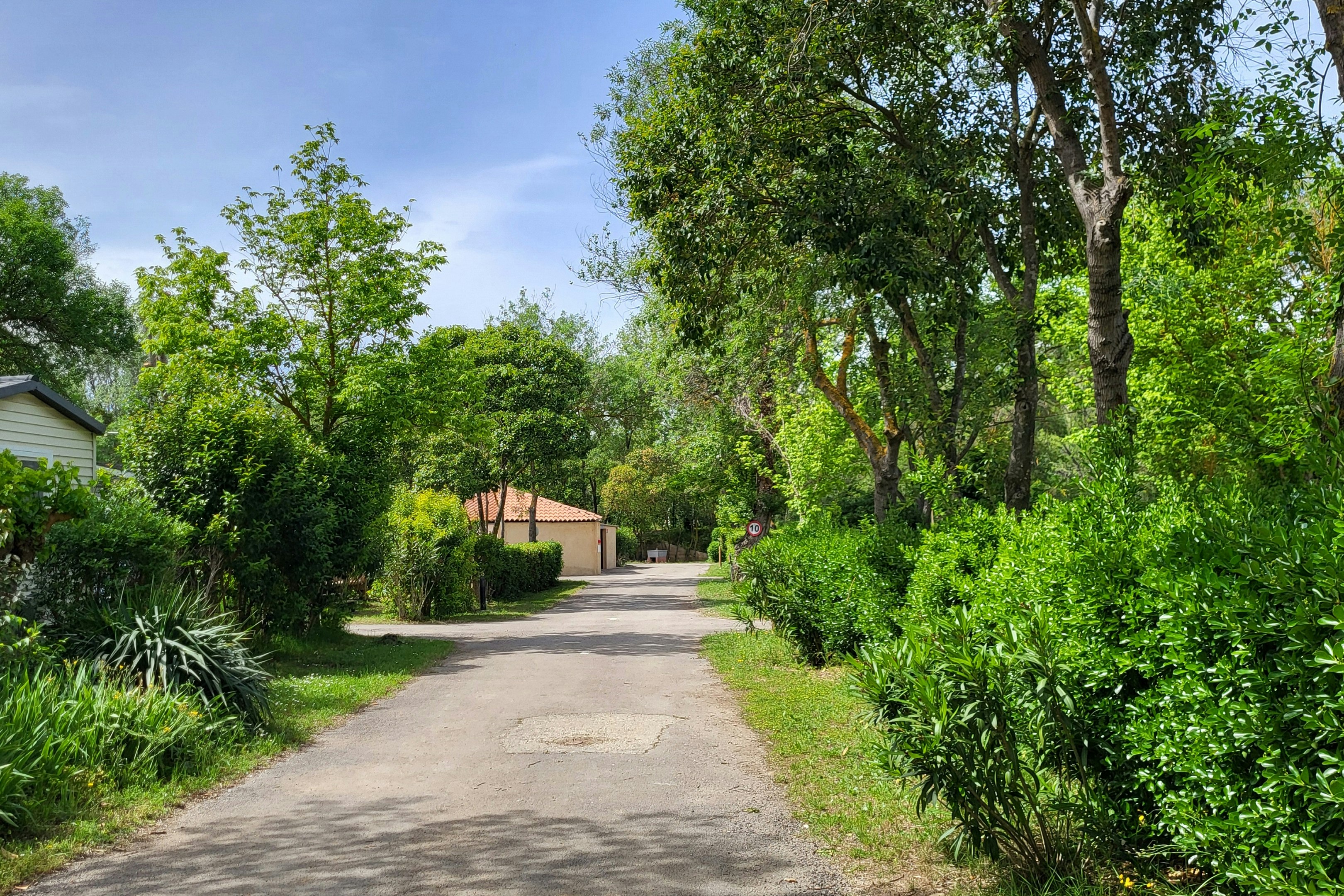 Camping du val de cesse - Straße auf dem Campingplatz umgeben von Vegetation