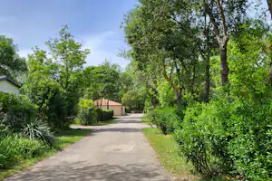 Camping du val de cesse - Straße auf dem Campingplatz umgeben von Vegetation