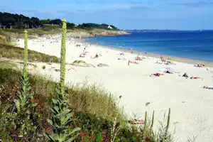 Camping du Vieux Verger - Der Strand in der Nähe vom Campingplatz