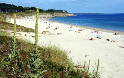 Camping du Vieux Verger