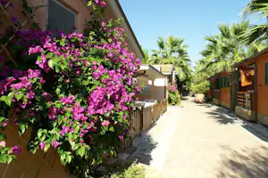 Camping Duca Amedeo - Gehweg zwischen Mobilheimen vom Campingplatz