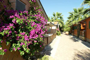 Camping Duca Amedeo - Gehweg zwischen Mobilheimen vom Campingplatz