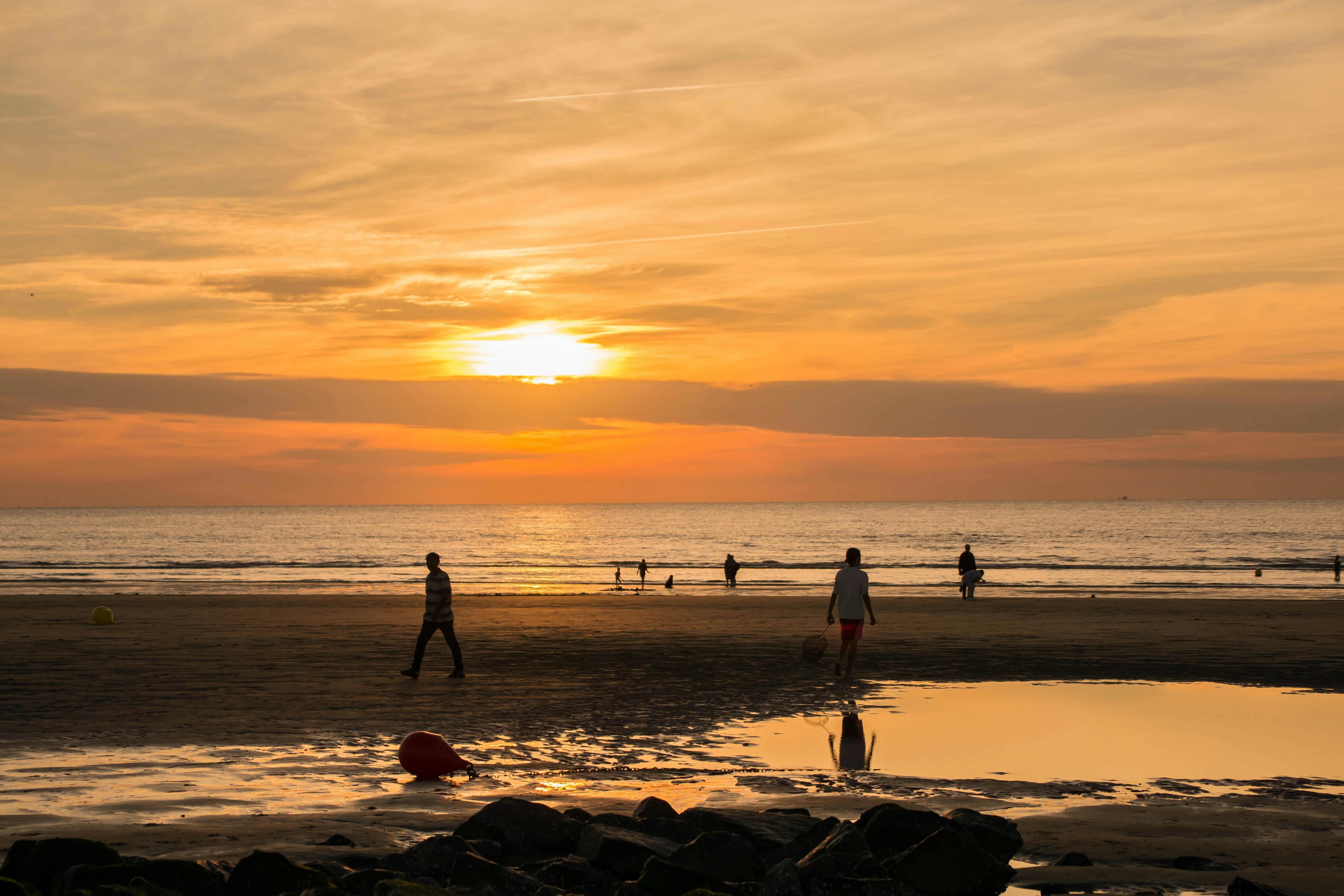 Camping Duinezwin - Gäste spazieren bei Sonnenuntergang am Strand