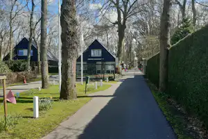 Campingweg zwischen hohen Bäumen, links und rechts Häuser mit dunklen Fassaden und ein kleiner Gartenstreifen.