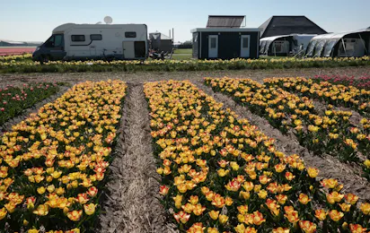 Camping Duinzoomhoeve