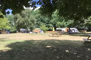 Campingwiese mit mehreren Zelten, Holztischen und Stühlen, umgeben von Bäumen am Rand des Platzes.