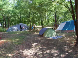 Zelte auf einem Campingplatz im Wald, mehrere Schlafzelte zwischen Bäumen auf einem grasigen Boden.