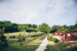 Camping Dutch Hill