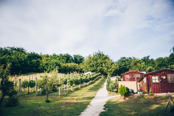 Camping Dutch Hill