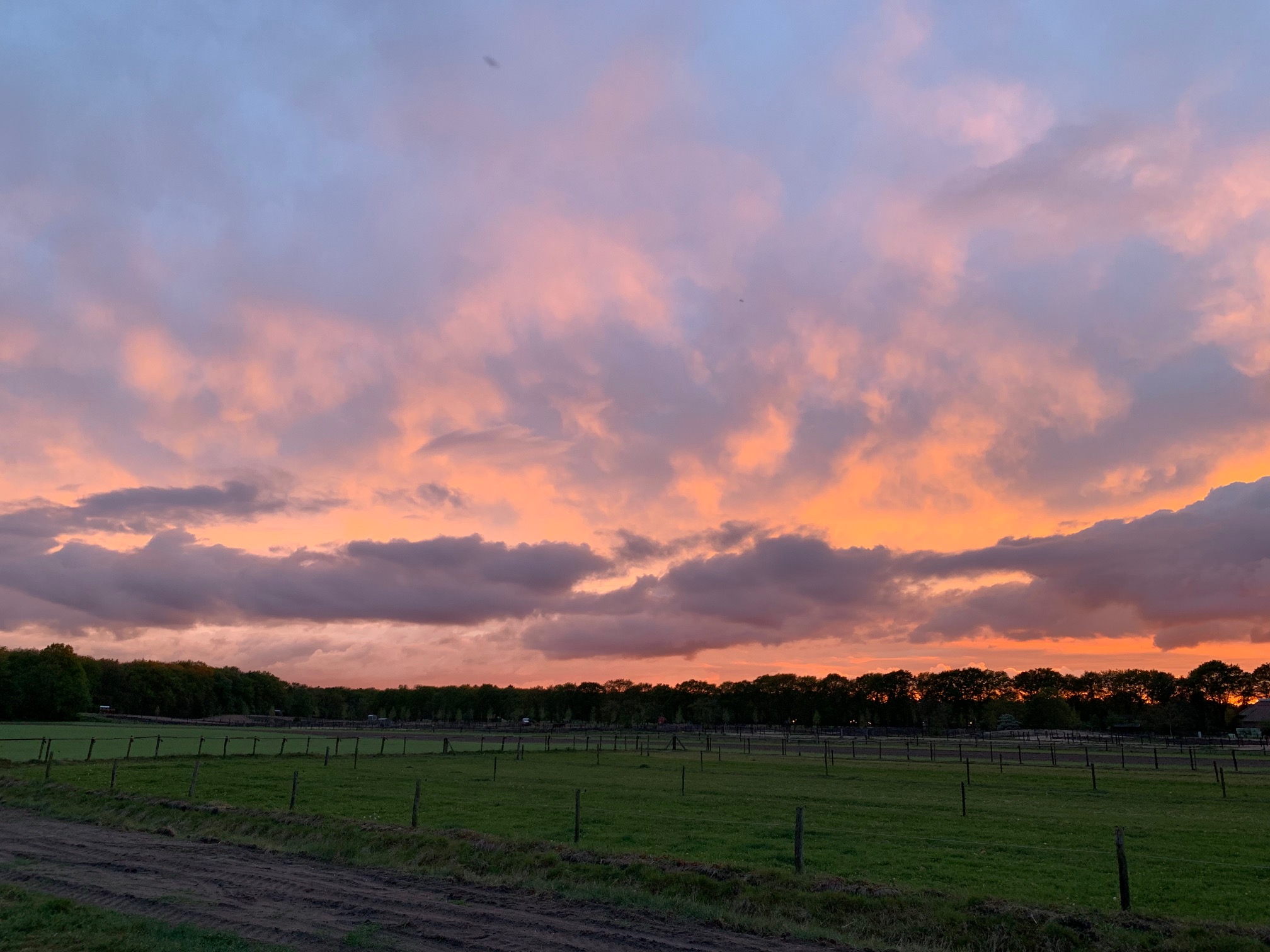 Camping Duynparc Soest