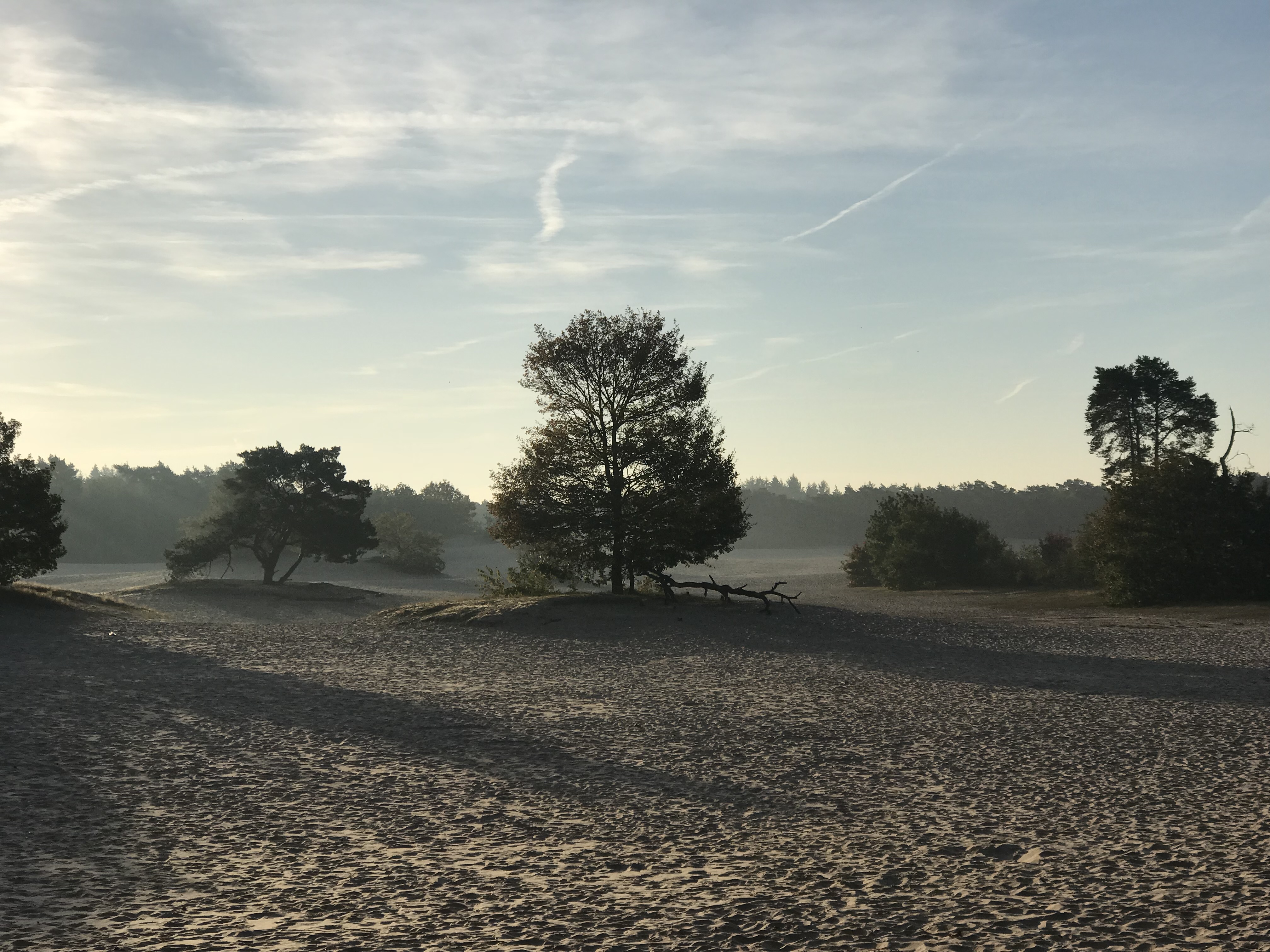 Camping Duynparc Soest