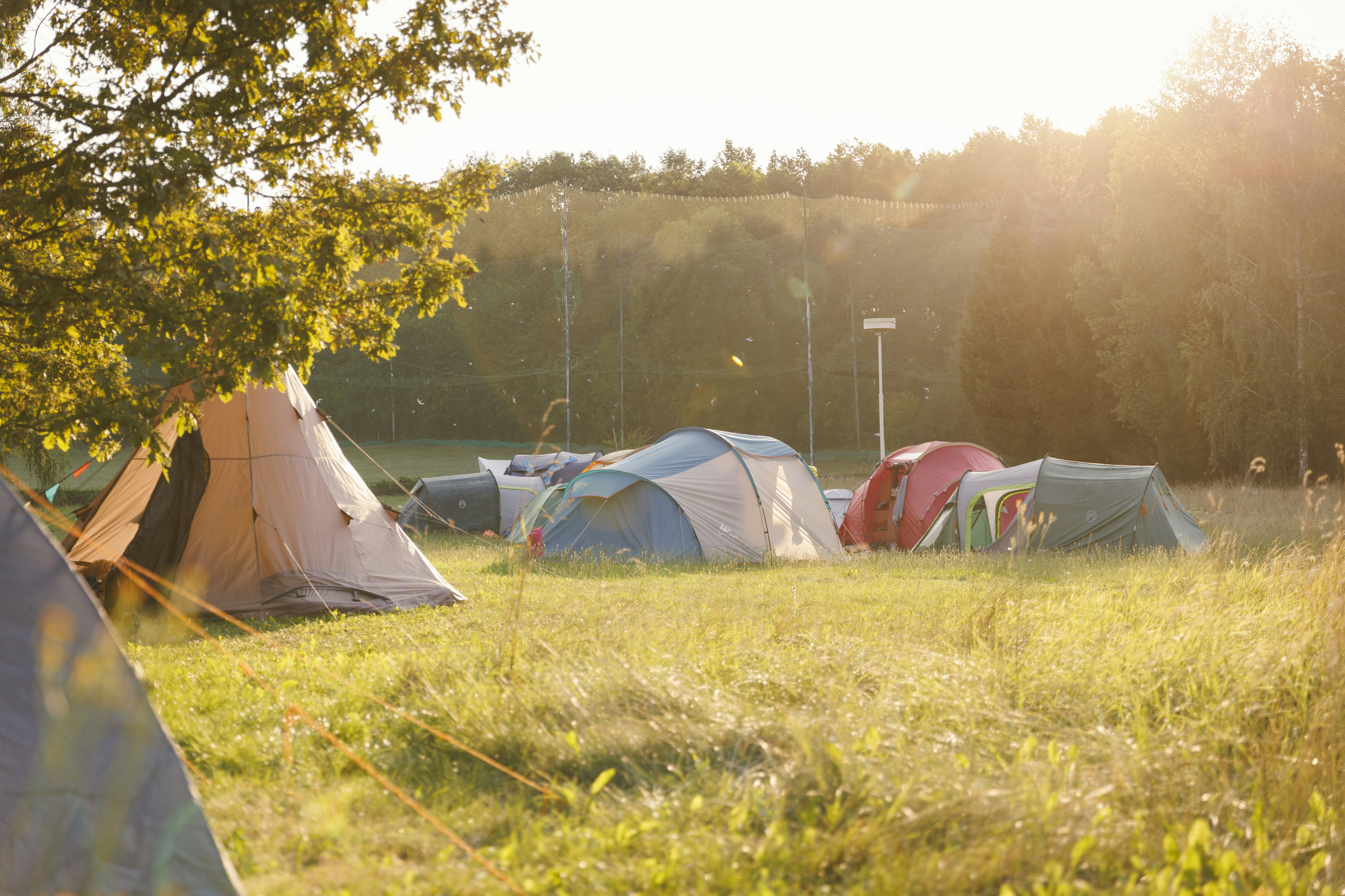 Zelte auf einer Wiese im Campingplatz, im Hintergrund weitere Zelte und Bäume, warmes Sonnenlicht am Morgen.