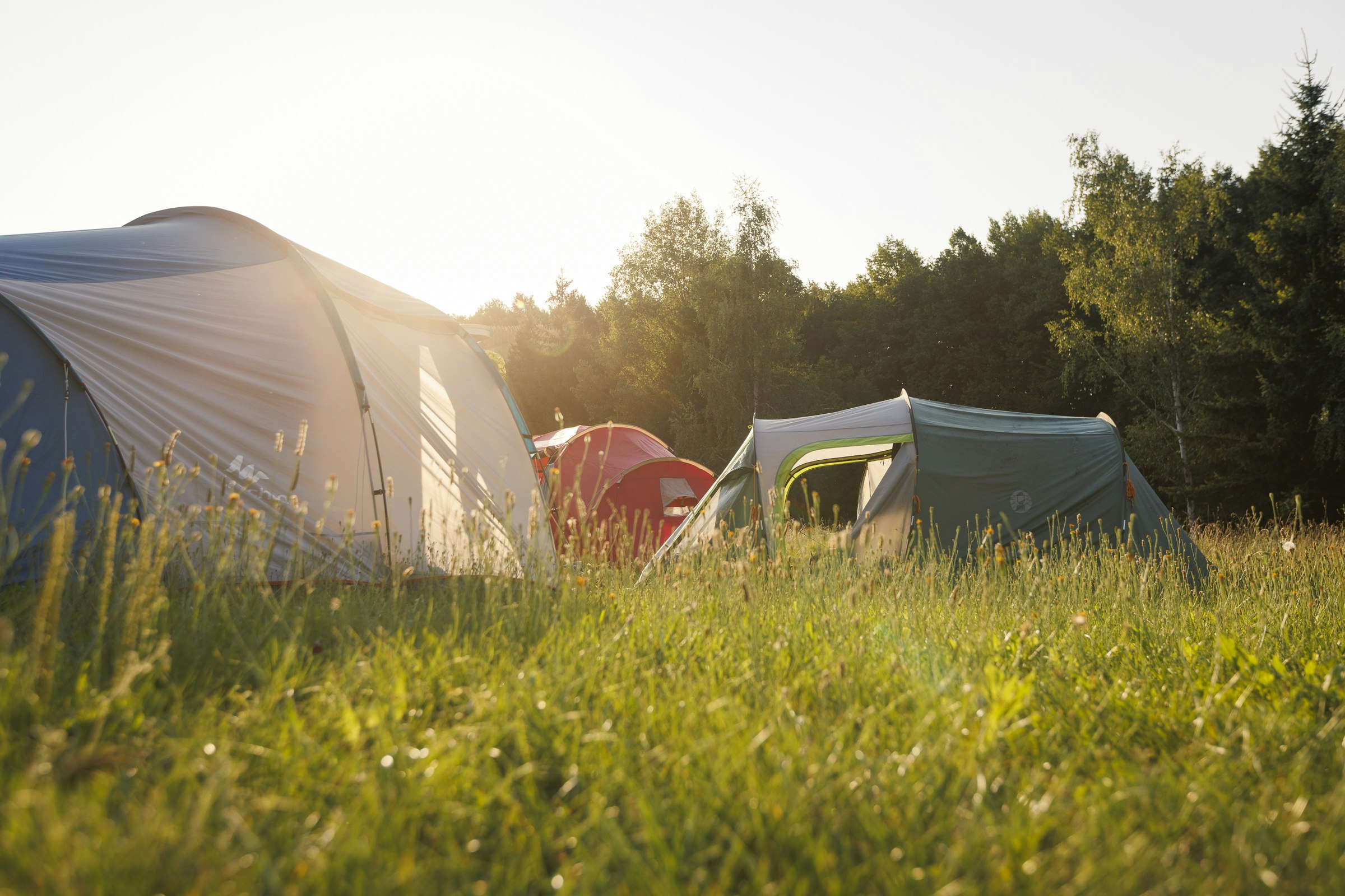 Campingzelt und Wohnwagen auf einem grünen Stellplatz im Gras, im Hintergrund Bäume und warmes Sonnenlicht.