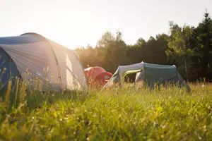 Campingzelt und Wohnwagen auf einem grünen Stellplatz im Gras, im Hintergrund Bäume und warmes Sonnenlicht.