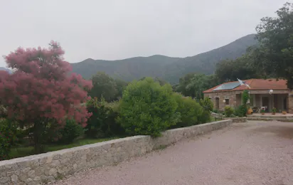 E Canicce