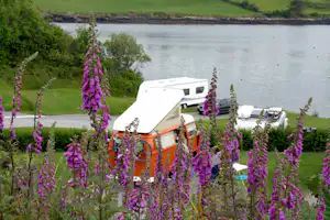Orangefarbenes Wohnmobil am Campingplatz, umgeben von lila Fingerhutblumen, mit Autos und Blick auf den Fluss.