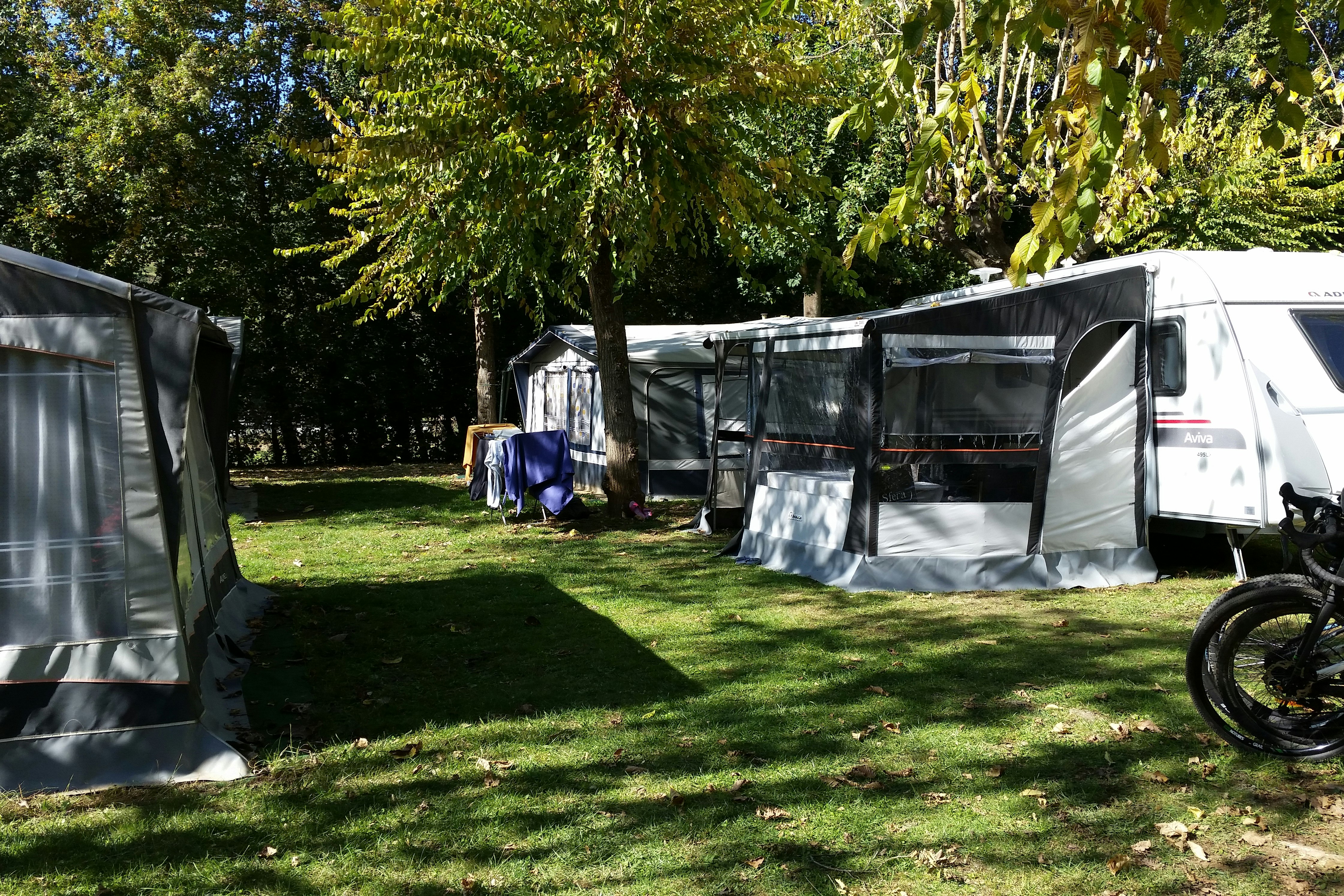 Wohnwagen und Zelte auf einem grünen Campingplatz, daneben ein Fahrrad und Hecken mit Bäumen im Hintergrund.