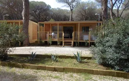 Camping Eden