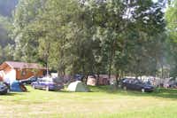 Camping Eggishorn-Z'moosji - Wohnwagen- und Zeltstellplatz zwischen Bäumen