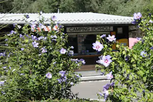 Camping Eichholz - Rezeption des Campingplatzes