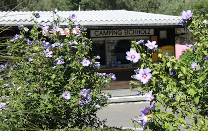 Camping Eichholz