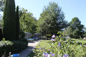 Blumen und Rasen im Campinggarten, im Hintergrund Poolbereich mit Liegen und Hecken entlang des gepflasterten Wegs.