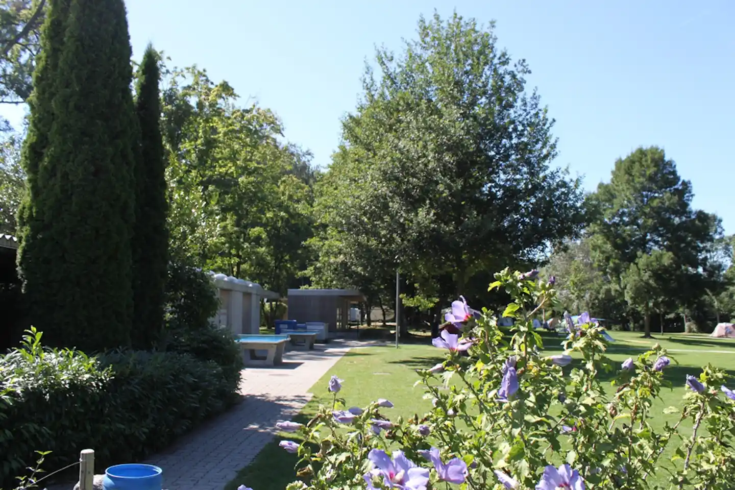 Camping Eichholz - Tischtennisplatten in der Grünanlage auf dem Campingplatz