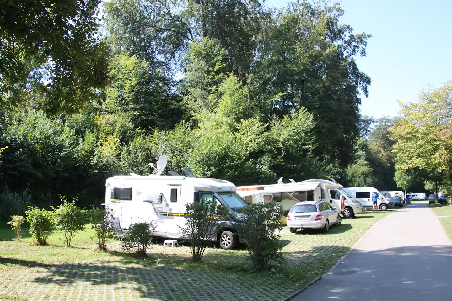 Wohnmobile und Autos auf einem Campingplatz, gepflasterter Weg und viel Grün mit hohen Bäumen im Hintergrund.