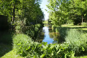 Camping Ekenstein - Grüne Natur auf dem Campingplatz