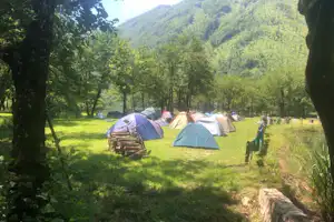 Zelte auf einer grünen Wiese zwischen Bäumen, im Hintergrund ein bewaldetes Tal und ein Weg zum Campingplatz.