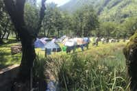 Camping Eko Selo Boračko Jezero - Zeltplatz vom Campingplatz zwischen Bäumen