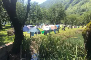 Zelte auf einer Wiese im Grünen, umgeben von Bäumen und einem grünen Tal im Hintergrund.