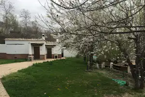 Camping El Balcón de Pitres - Wohnbungalows im Grünen auf dem Campingplatz