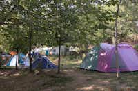 Camping El Balcón de Pitres - Zelte auf dem Campingplatz zwischen Bäumen