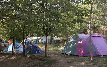 Camping El Balcón de Pitres